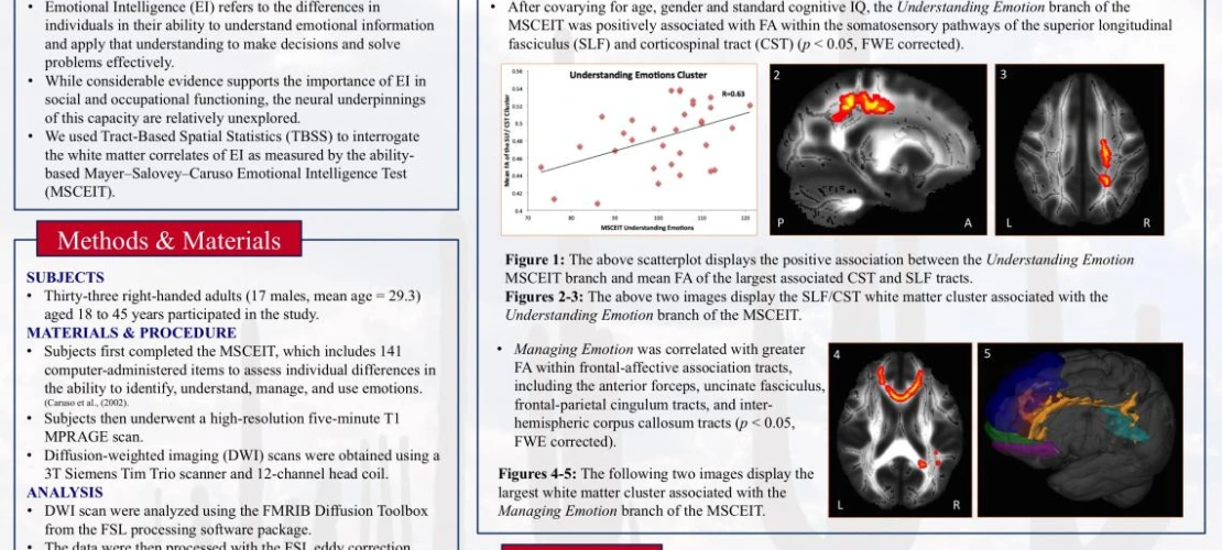 ScanLab Site Image